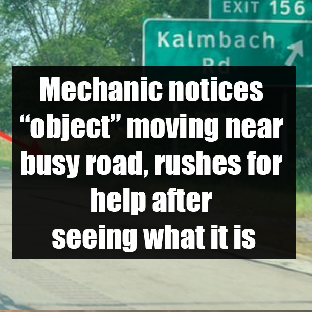 Mechanic notices “object” moving near busy road, rushes for help after seeing what it is