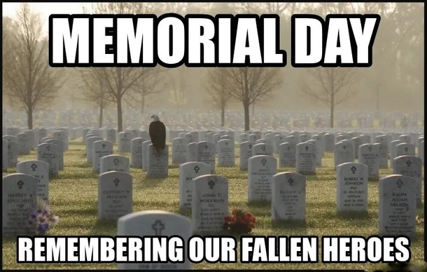 Meme-orial Day: The Best Patriotic Memes to Make Your Holiday Extra Memorable - picture 12