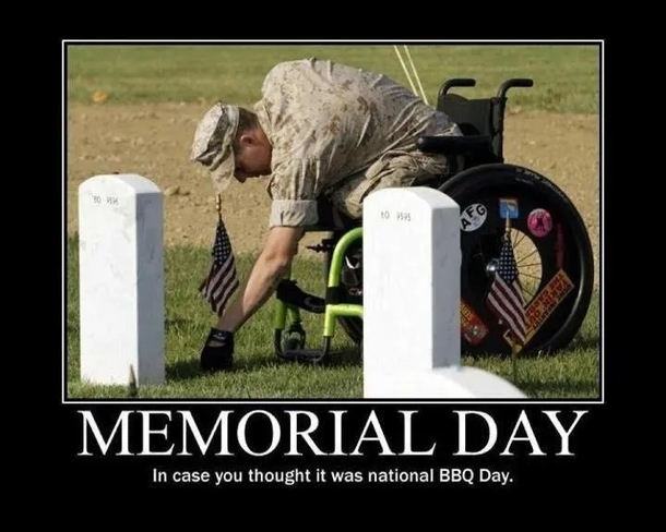 Meme-orial Day: The Best Patriotic Memes to Make Your Holiday Extra Memorable - picture 9