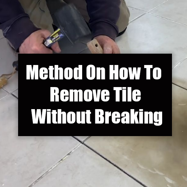 Method On How To Remove Tile Without Breaking