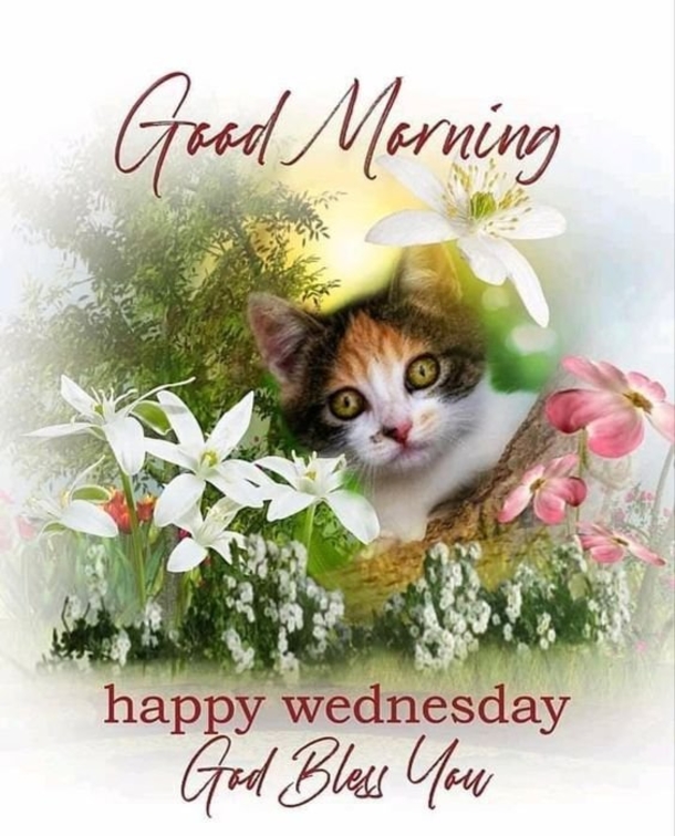 Midweek Motivation: 10 Good Morning Wednesday Quotes to Boost Your Week - picture 6