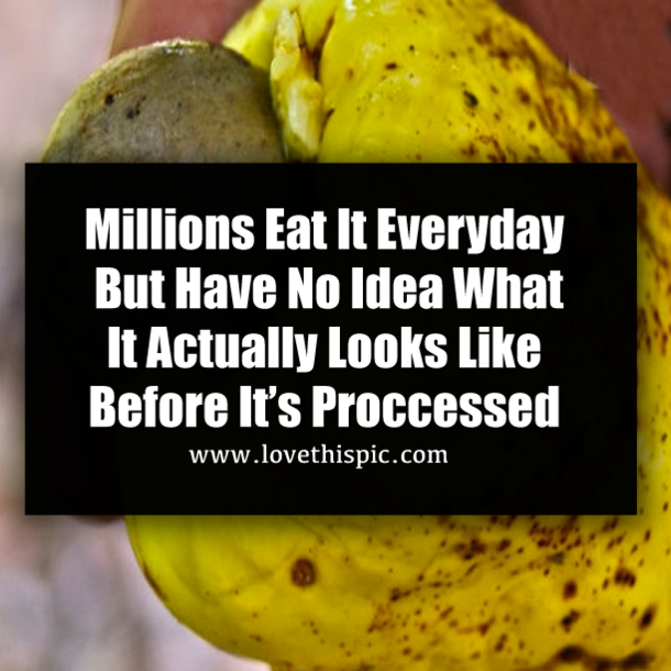 Millions Eat It Everyday But Have No Idea What It Actually Looks Like Before It’s Processed