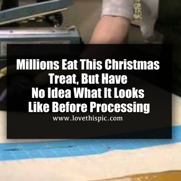 Millions Eat This Christmas Treat, But Have No Idea What It Looks Like Before Processing