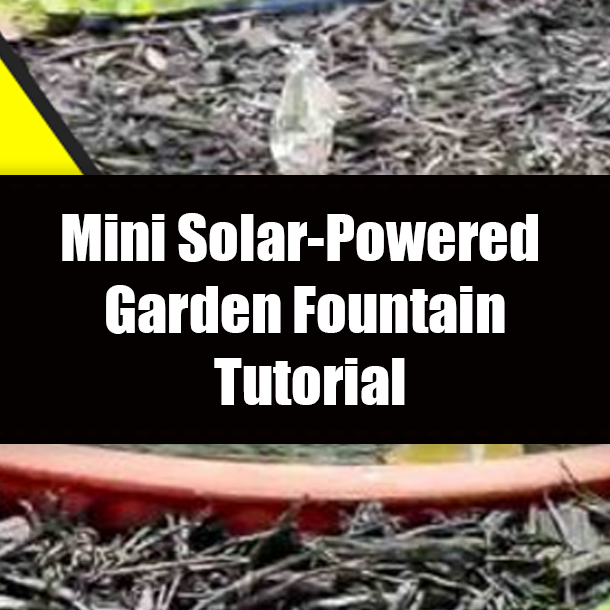 Mini Solar-Powered Garden Fountain Tutorial