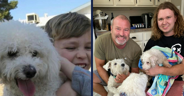 Minion, older dog who was reunited with family after 12 years, has passed away — RIP - picture 2