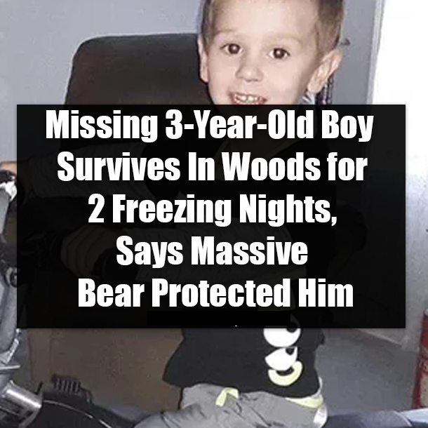 Missing 3-Year-Old Boy Survives In Woods for 2 Freezing Nights, Says Massive Bear Protected Him