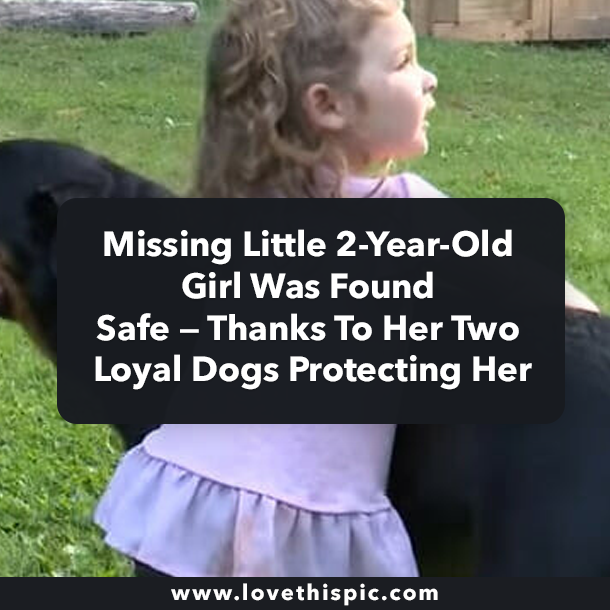 Missing Little 2-Year-Old Girl Was Found Safe — Thanks To Her Two Loyal Dogs Protecting Her