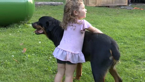 Missing Little 2-Year-Old Girl Was Found Safe — Thanks To Her Two Loyal Dogs Protecting Her - picture 2