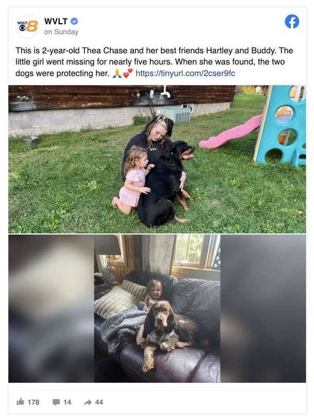 Missing Little 2-Year-Old Girl Was Found Safe — Thanks To Her Two Loyal Dogs Protecting Her - picture 3