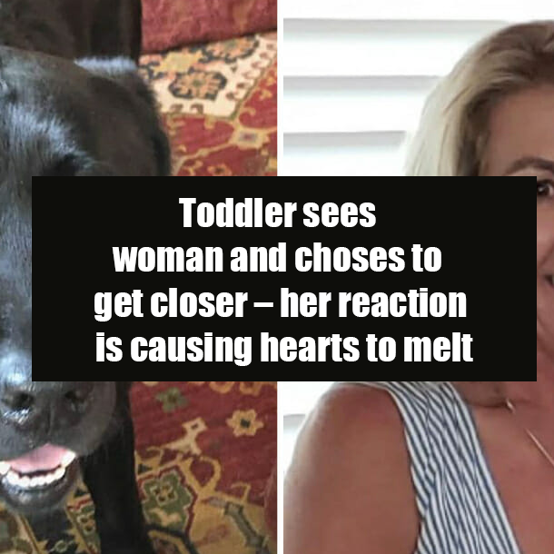 Missing woman with dementia found safe thanks to the loyal dog by her side
