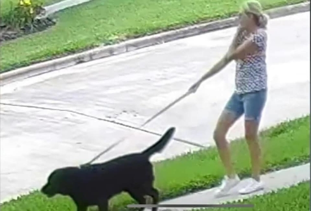 Missing woman with dementia found safe thanks to the loyal dog by her side - picture 4