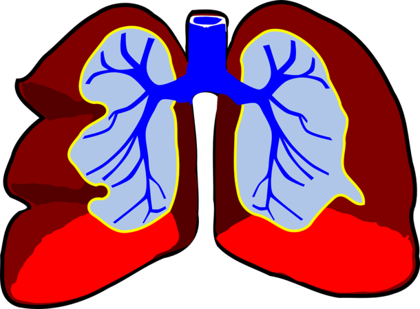MIX THIS WITH ORANGE JUICE TO FLUSH NICOTINE OUT OF YOUR BODY - picture 2