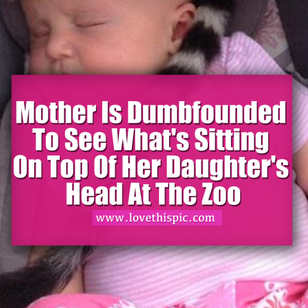 Mom At Zoo Shocked To See Something Sitting On Daughter's Head
