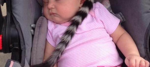 Mom At Zoo Shocked To See Something Sitting On Daughter's Head - picture 2