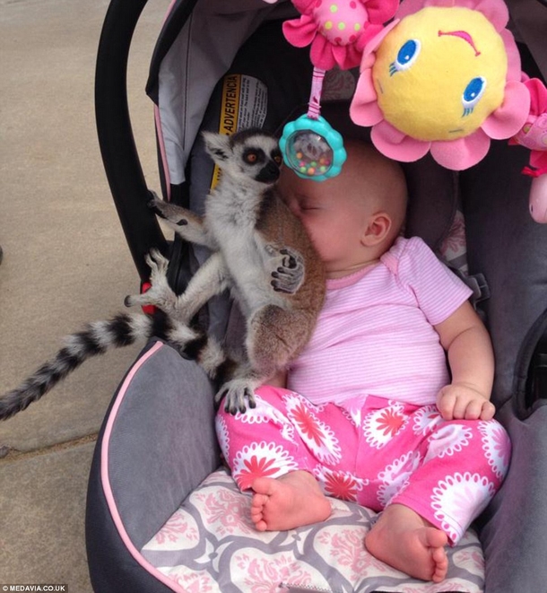 Mom At Zoo Shocked To See Something Sitting On Daughter's Head - picture 4