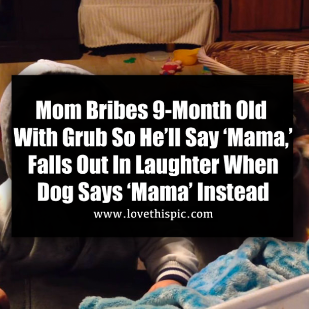 Mom Bribes 9-Month Old With Grub So He’ll Say ‘Mama,’ Falls Out In Laughter When Dog Says ‘Mama’ Instead