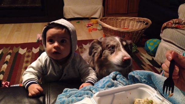 Mom Bribes 9-Month Old With Grub So He’ll Say ‘Mama,’ Falls Out In Laughter When Dog Says ‘Mama’ Instead - picture 2