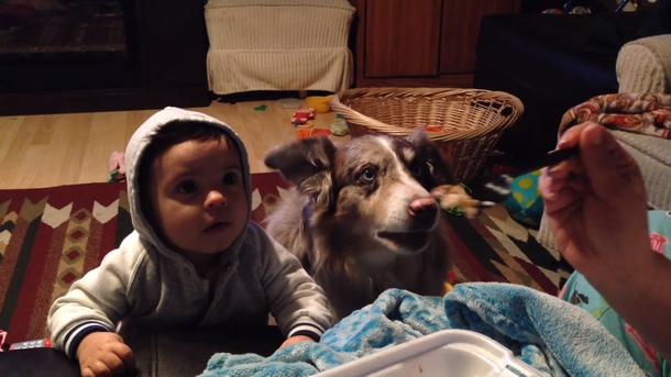 Mom Bribes 9-Month Old With Grub So He’ll Say ‘Mama,’ Falls Out In Laughter When Dog Says ‘Mama’ Instead - picture 3