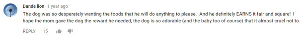 Mom Bribes 9-Month Old With Grub So He’ll Say ‘Mama,’ Falls Out In Laughter When Dog Says ‘Mama’ Instead - picture 6