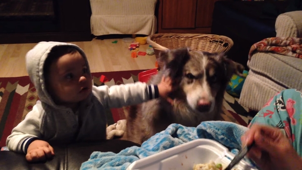 Mom Bribes 9-Month Old With Grub So He’ll Say ‘Mama,’ Falls Out In Laughter When Dog Says ‘Mama’ Instead - picture 7