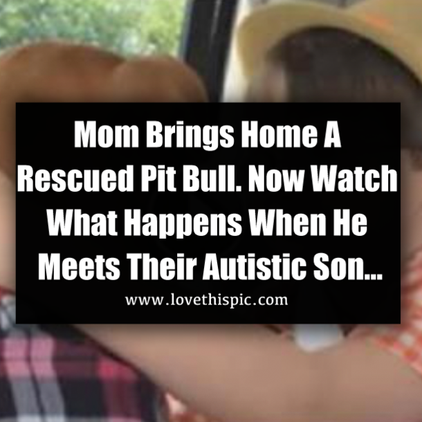 Mom Brings Home A Rescued Pit Bull. Now Watch What Happens When He Meets Their Autistic Son…