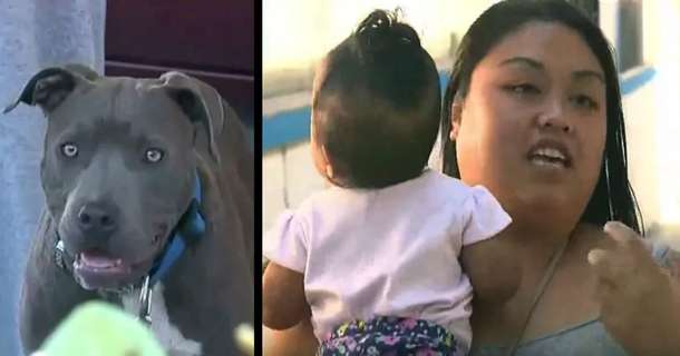 Mom catches pit bull pulling her 7-month-old baby by her diaper after house catches on fire - picture 2