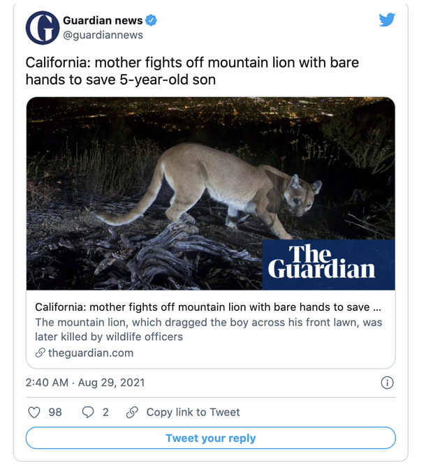 Mom fights off mountain lion that dragged and attacked her 5-year-old son - picture 2