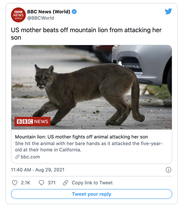 Mom fights off mountain lion that dragged and attacked her 5-year-old son - picture 3
