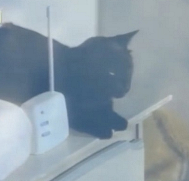 Mom Hears Strange Sounds From Baby Monitor, Terrified To Learn Baby Isn’t Alone - picture 5