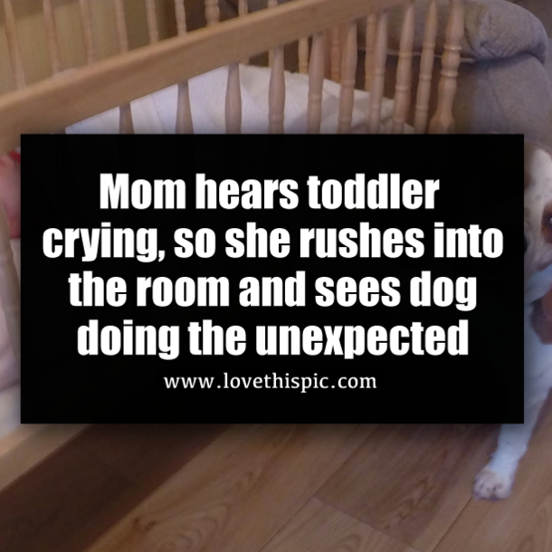 Mom hears toddler crying, so she rushes into the room and sees dog doing the unexpected