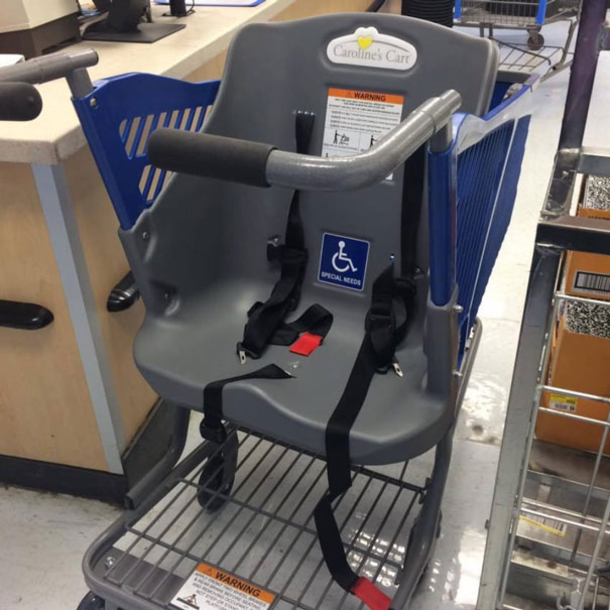 Mom Invents New Shopping Cart To Help Special Needs Kids And Seniors - picture 4