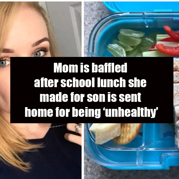 Mom is baffled after school lunch she made for son is sent home for being ‘unhealthy’