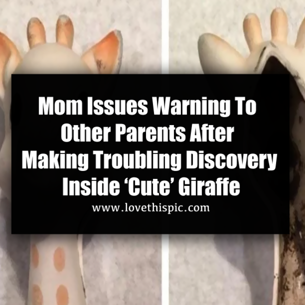 Mom Issues Warning To Other Parents After Making Troubling Discovery Inside ‘Cute’ Giraffe