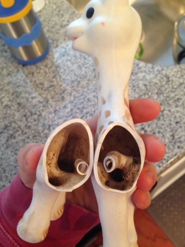 Mom Issues Warning To Other Parents After Making Troubling Discovery Inside ‘Cute’ Giraffe - picture 3