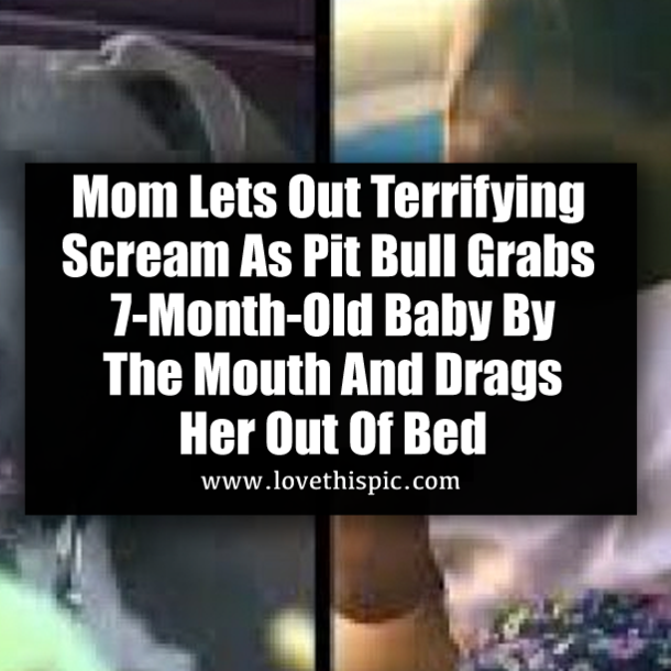 Mom Lets Out Terrifying Scream As Pit Bull Grabs 7-Month-Old Baby By The Mouth And Drags Her Out Of Bed