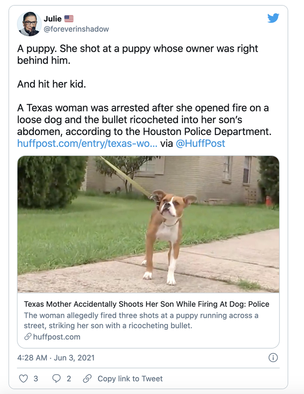 Mom points gun at neighbor's loose dog but accidentally shoots her 5-year-old son in the abdomen - picture 2