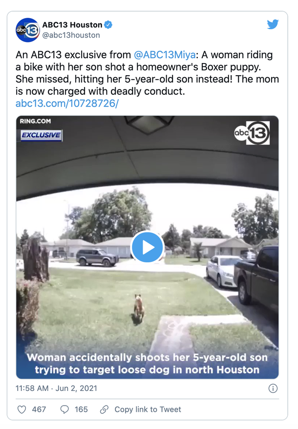 Mom points gun at neighbor's loose dog but accidentally shoots her 5-year-old son in the abdomen - picture 3