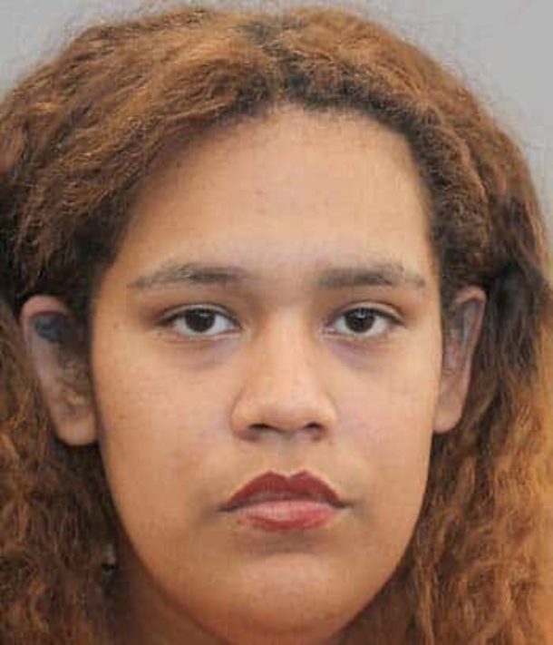 Mom points gun at neighbor's loose dog but accidentally shoots her 5-year-old son in the abdomen - picture 4