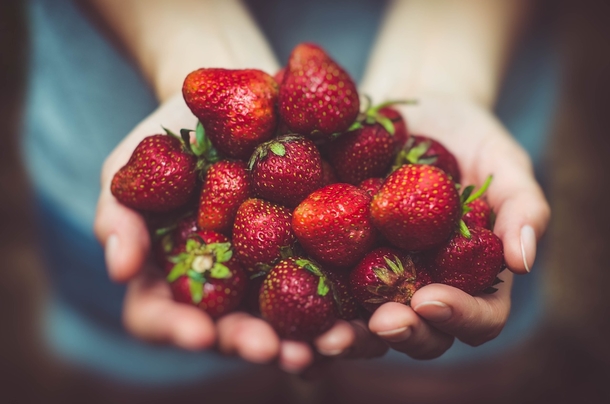 Mom Reveals Secret To Keeping Strawberries Fresh For Weeks And Weeks At A Time - picture 2