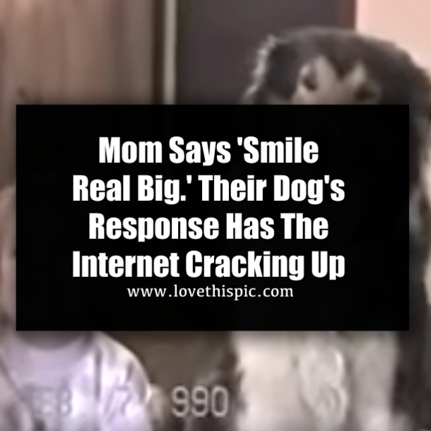 Mom Says 'Smile Real Big.' Their Dog's Response Has The Internet Cracking Up