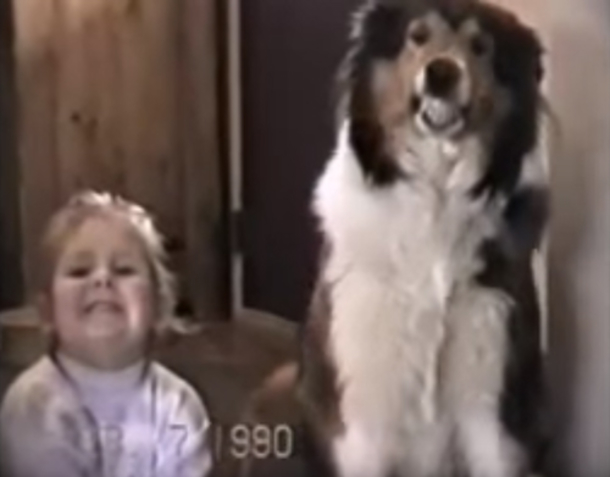 Mom Says 'Smile Real Big.' Their Dog's Response Has The Internet Cracking Up - picture 3