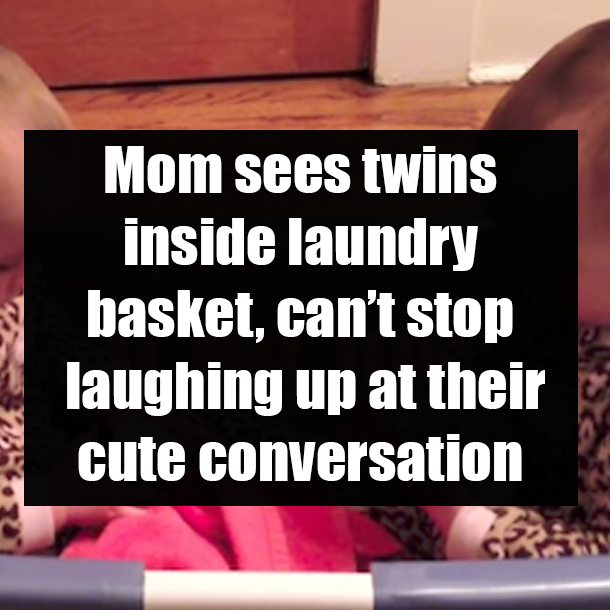 Mom sees twins inside laundry basket, can’t stop laughing up at their cute conversation