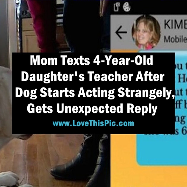 Mom Texts 4-Year-Old Daughter's Teacher After Dog Starts Acting Strangely, Gets Unexpected Reply