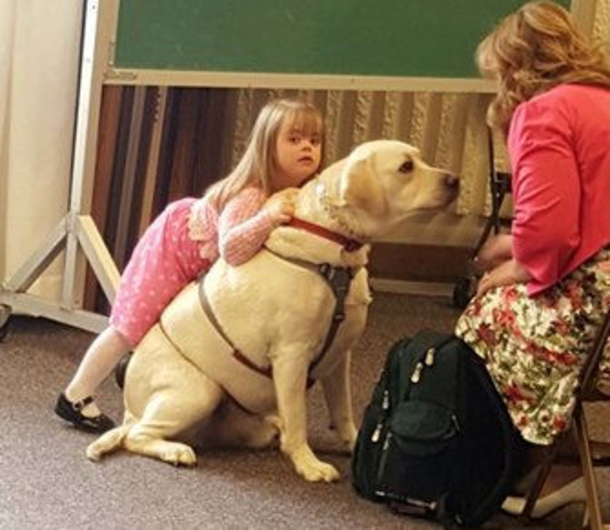 Mom Texts 4-Year-Old Daughter's Teacher After Dog Starts Acting Strangely, Gets Unexpected Reply - picture 2