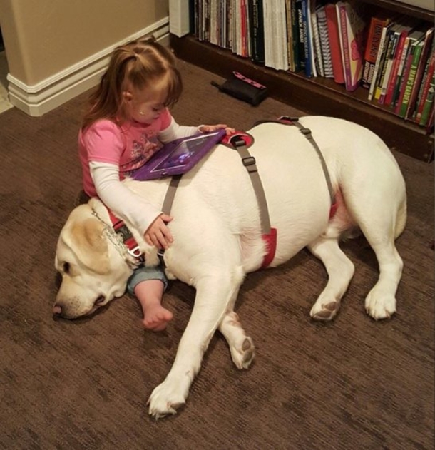 Mom Texts 4-Year-Old Daughter's Teacher After Dog Starts Acting Strangely, Gets Unexpected Reply - picture 4