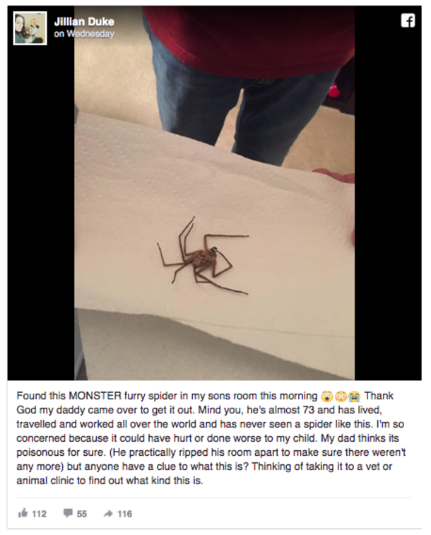 Mom Walks Into Toddler's Bedroom When She Spots A Huge Ball Of String. Then She Notices The Glowing Eyes Just In Time. - picture 2