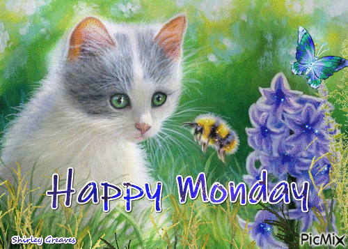 Monday Animated Quotes To Start The Week Off Right - picture 3