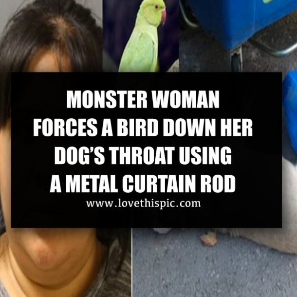 MONSTER WOMAN FORCES A BIRD DOWN HER DOG’S THROAT USING A METAL CURTAIN ROD