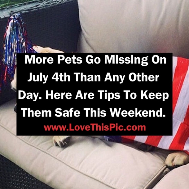 More Pets Go Missing On July 4th Than Any Other Day. Here Are Tips To Keep The Safe This Weekend.