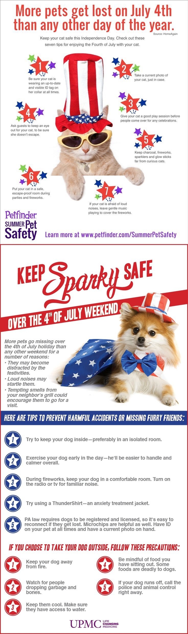 More Pets Go Missing On July 4th Than Any Other Day. Here Are Tips To Keep The Safe This Weekend. - picture 3